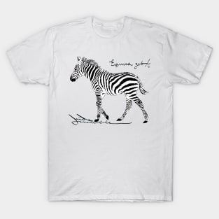 Zebra T-Shirt